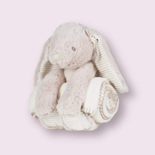 Rabbit And Blanket
